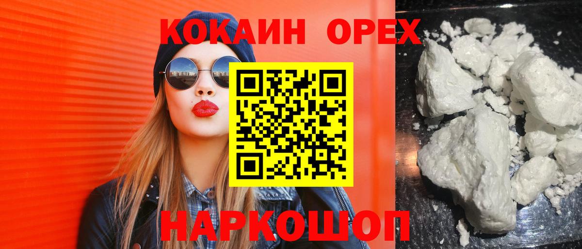 APVP Петропавловск-Камчатский