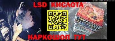 ГАЛЛЮЦИНОГЕННЫЕ ГРИБЫ Свободный