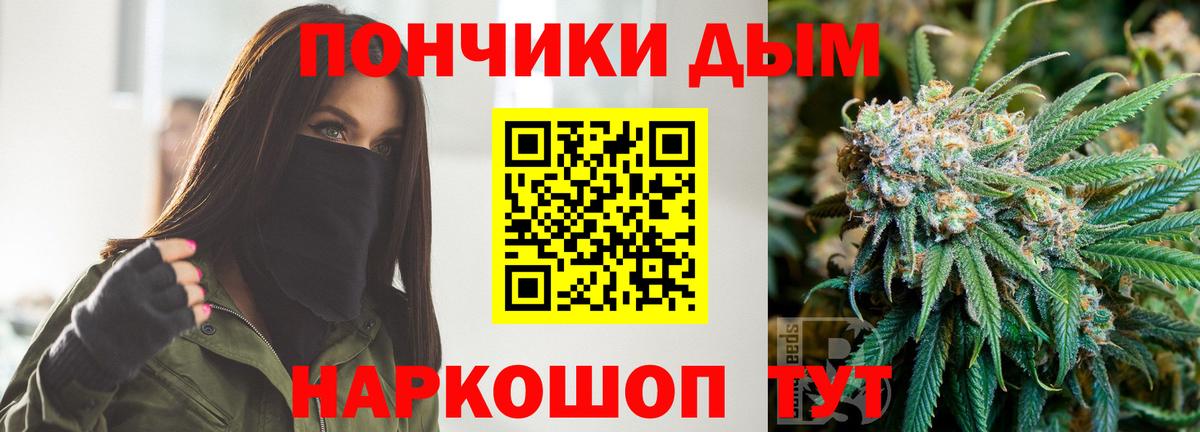 Бошки марихуана конопля Петропавловск-Камчатский